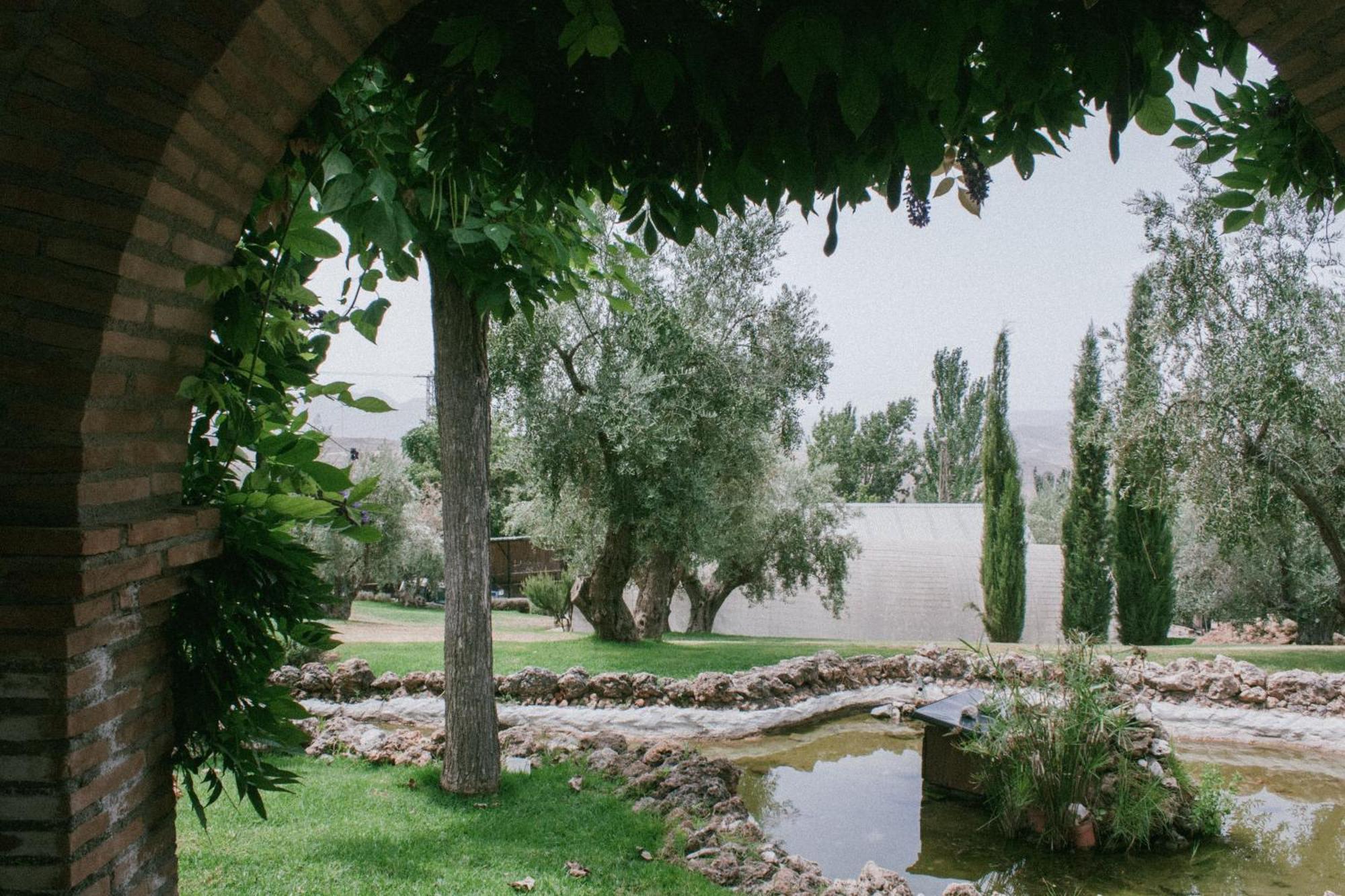 Hotel Rural Alqueria De Los Lentos Нигуэлас Номер фото